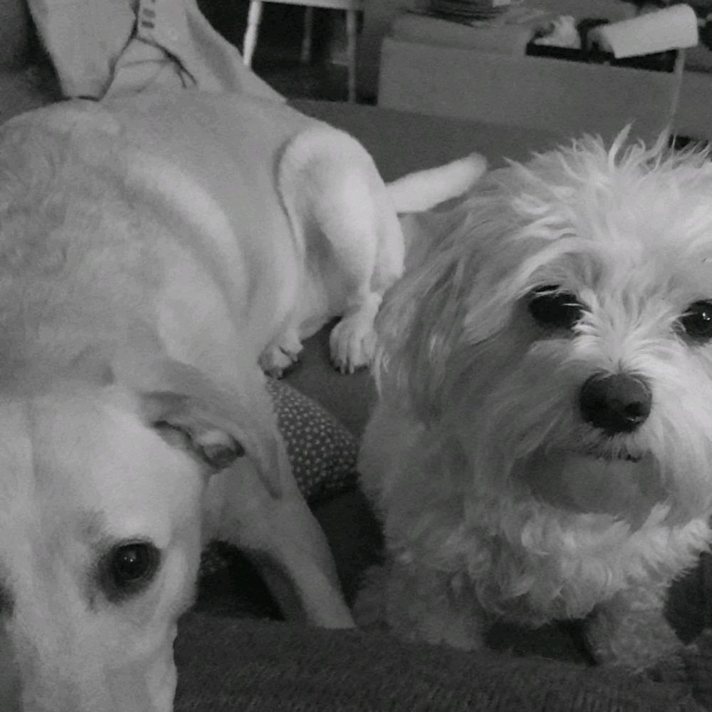 Meet your Posher, Makenzie